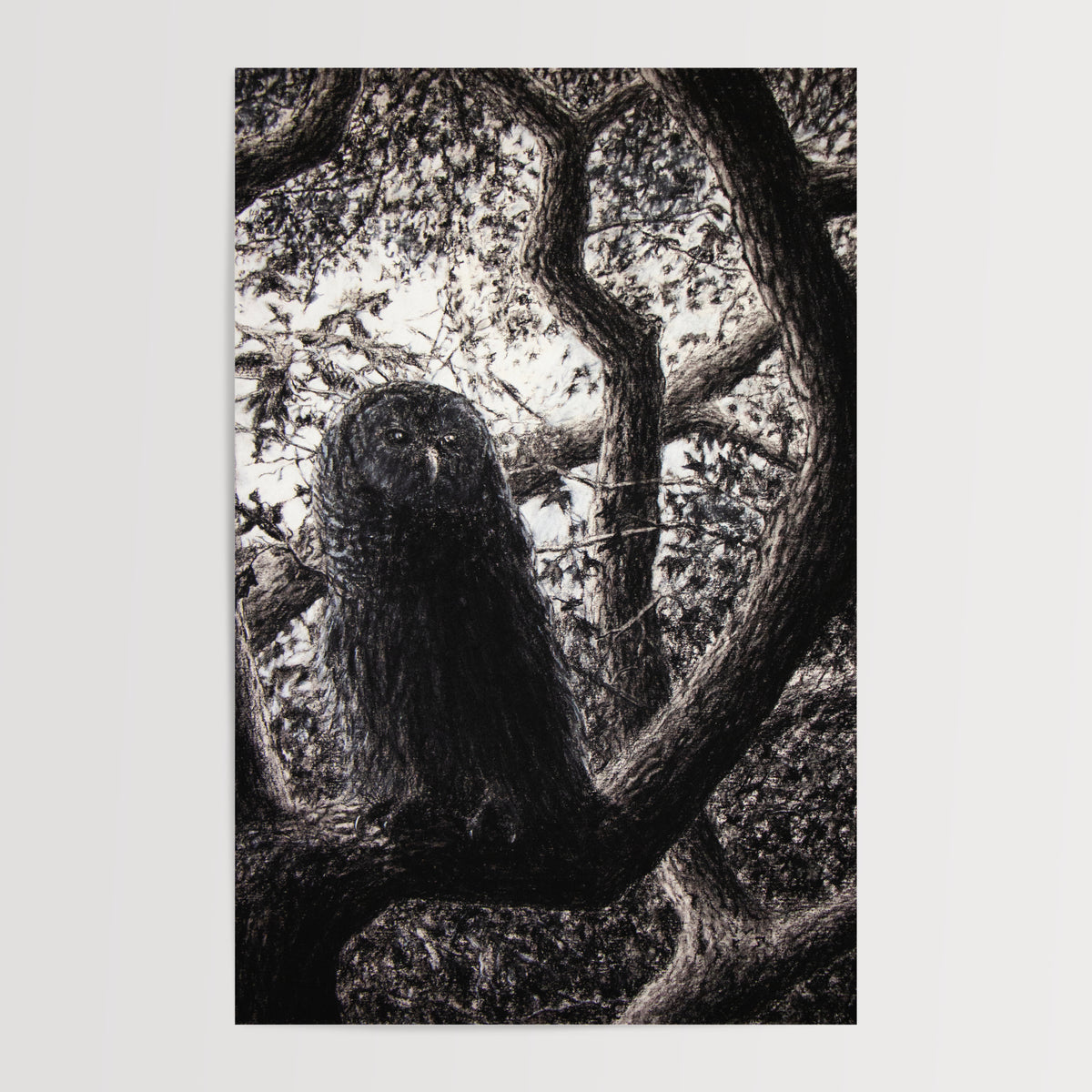 Cold Wail - Print