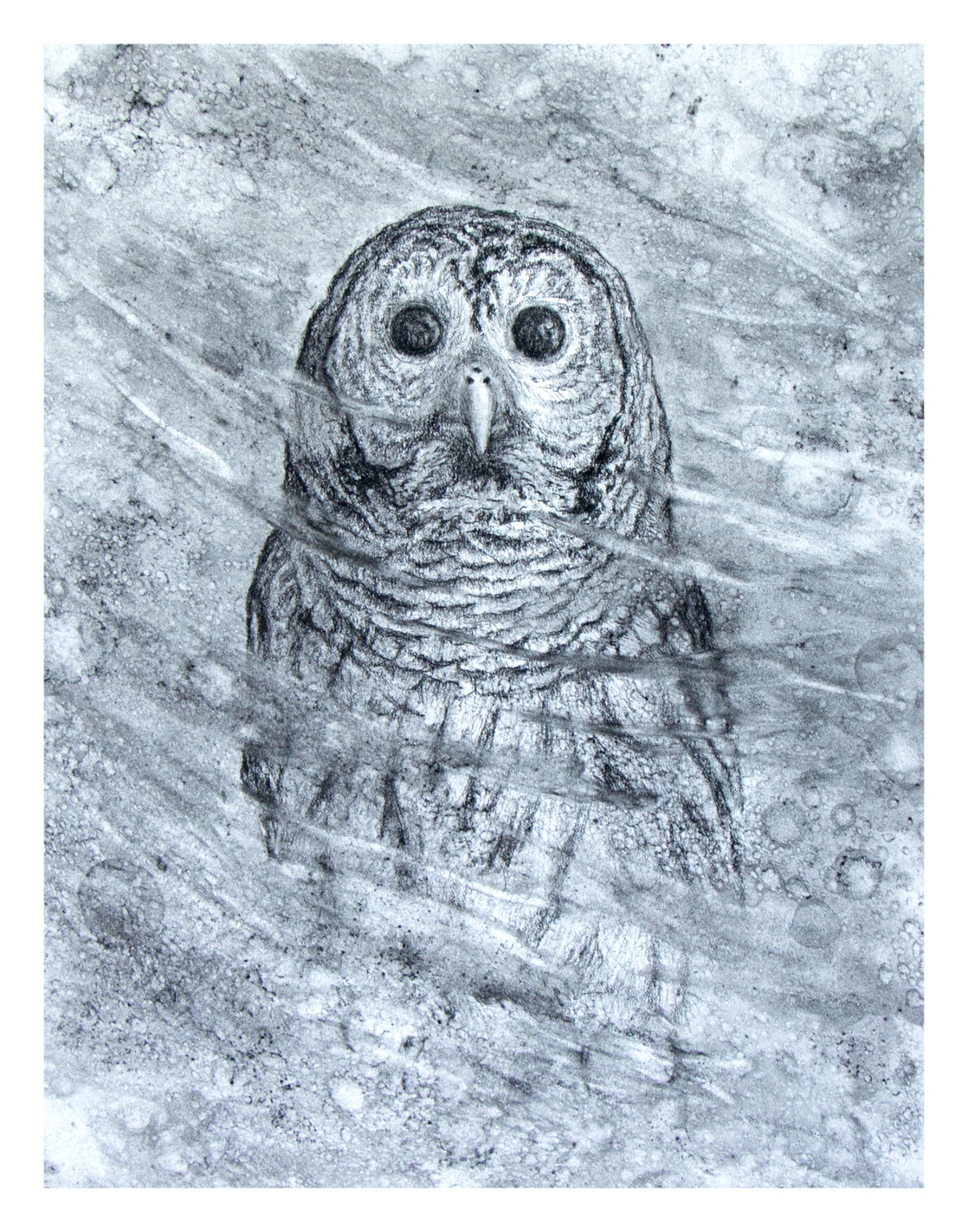 Barred - Print