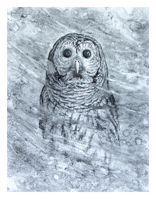 Barred - Print