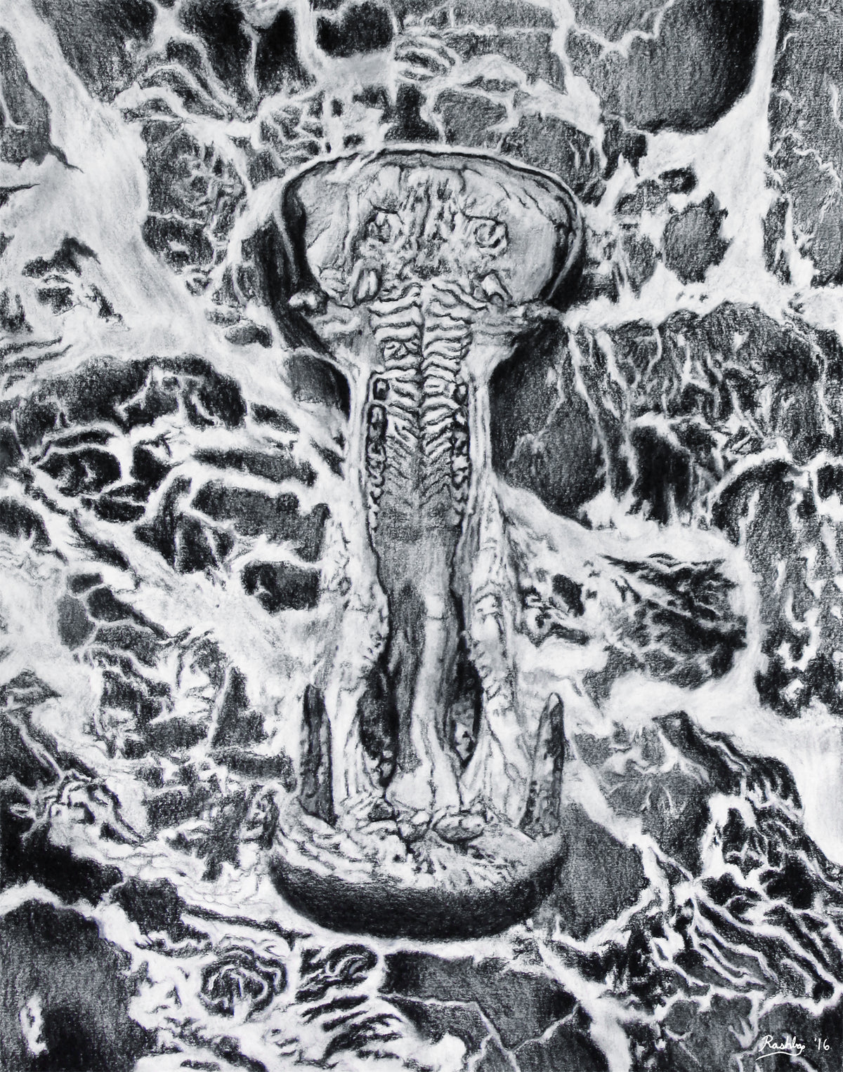 Hippo Foam - Print