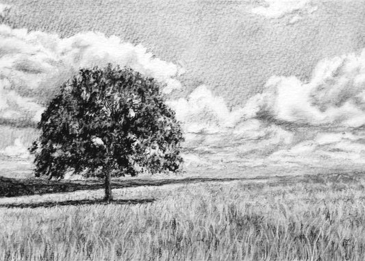 Oak Tree - Print