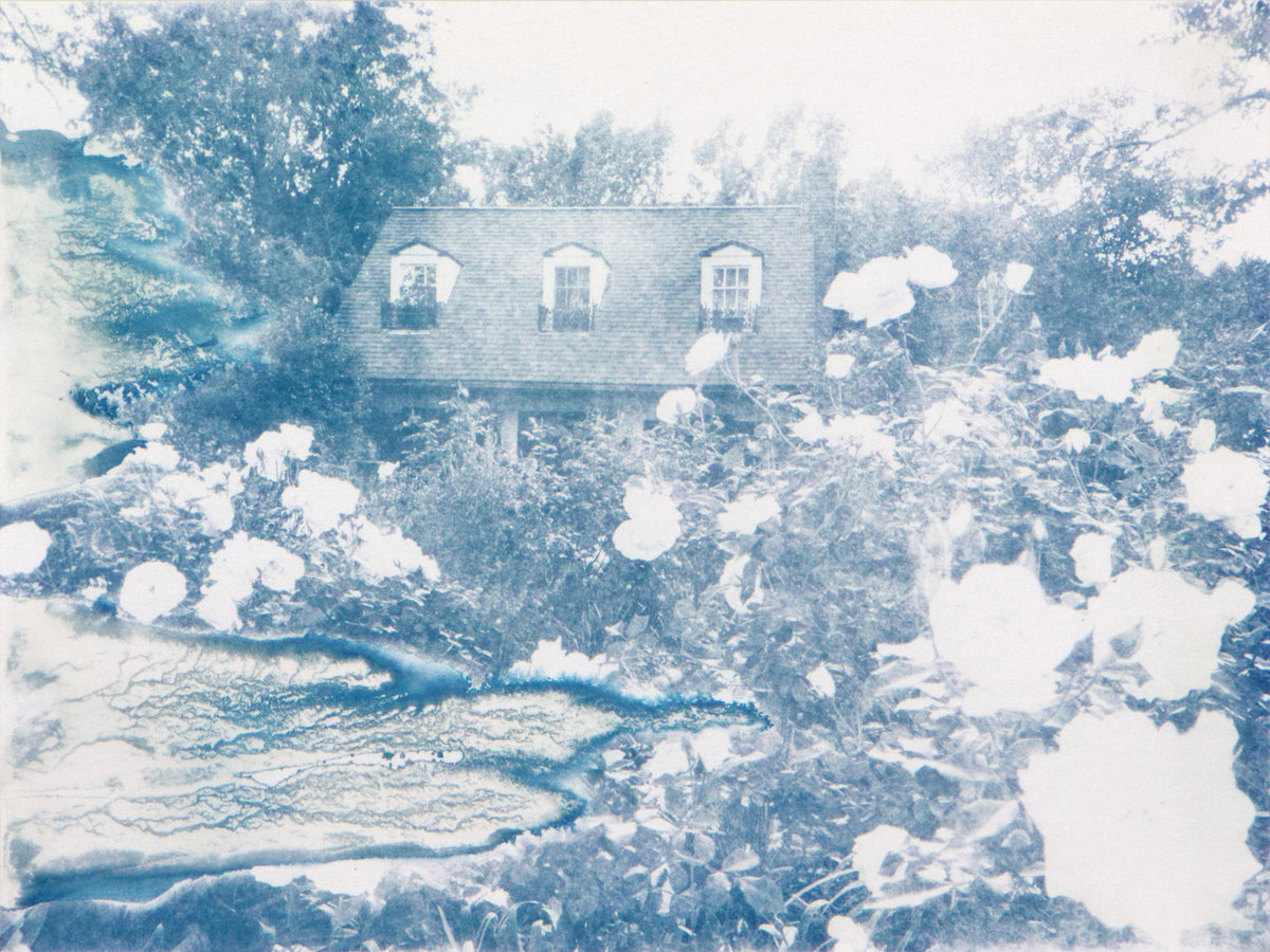 Along Agnes