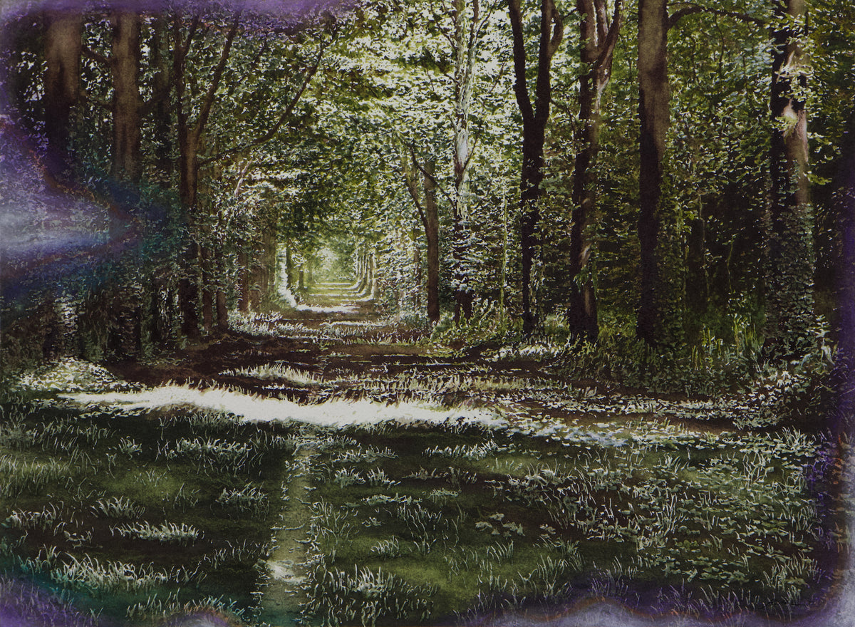 Dappled Eternity