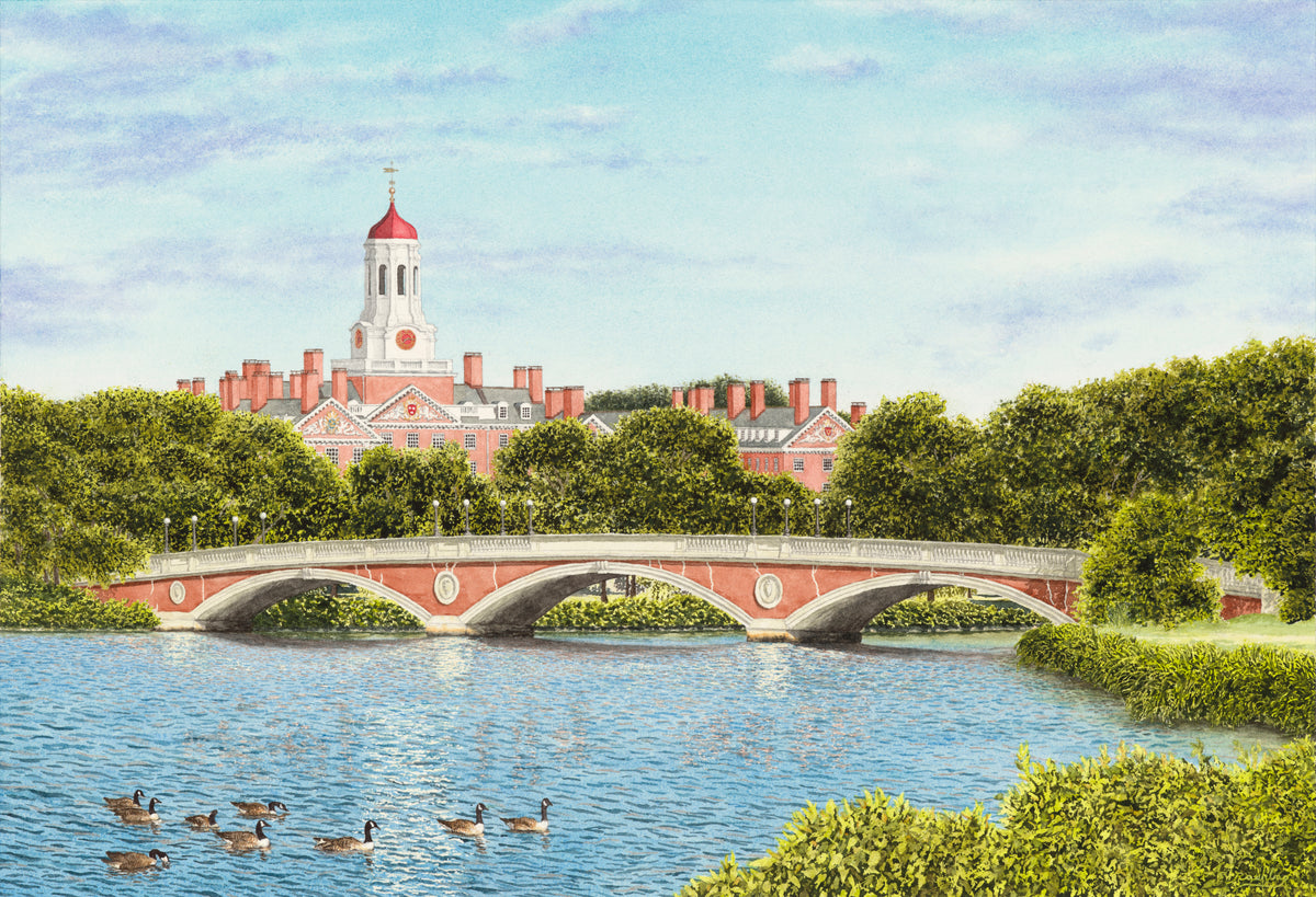 Dunster Over the Charles