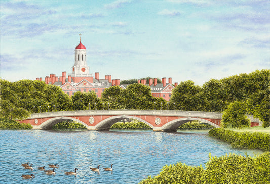 Dunster Over the Charles