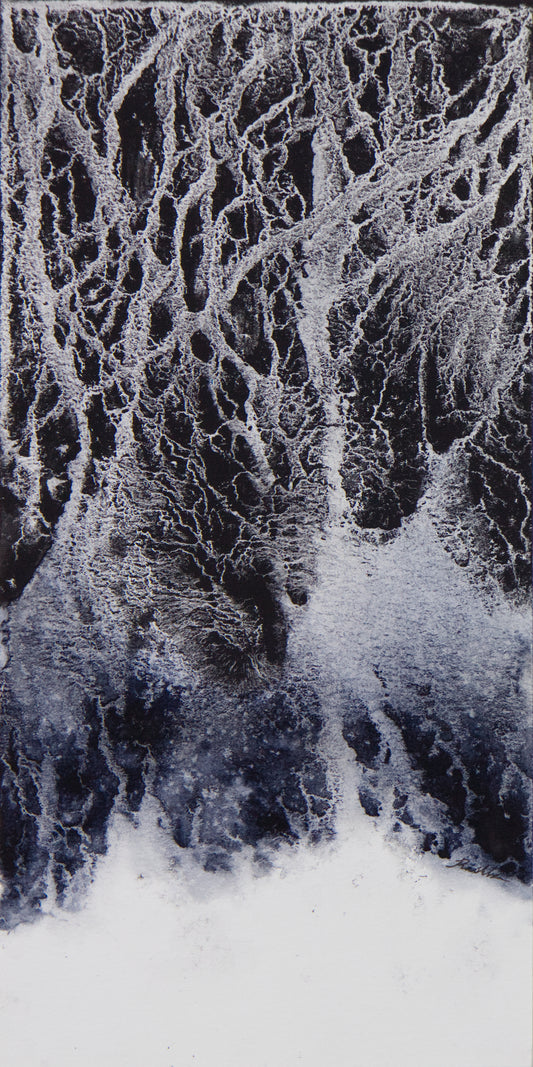 Frozen Web