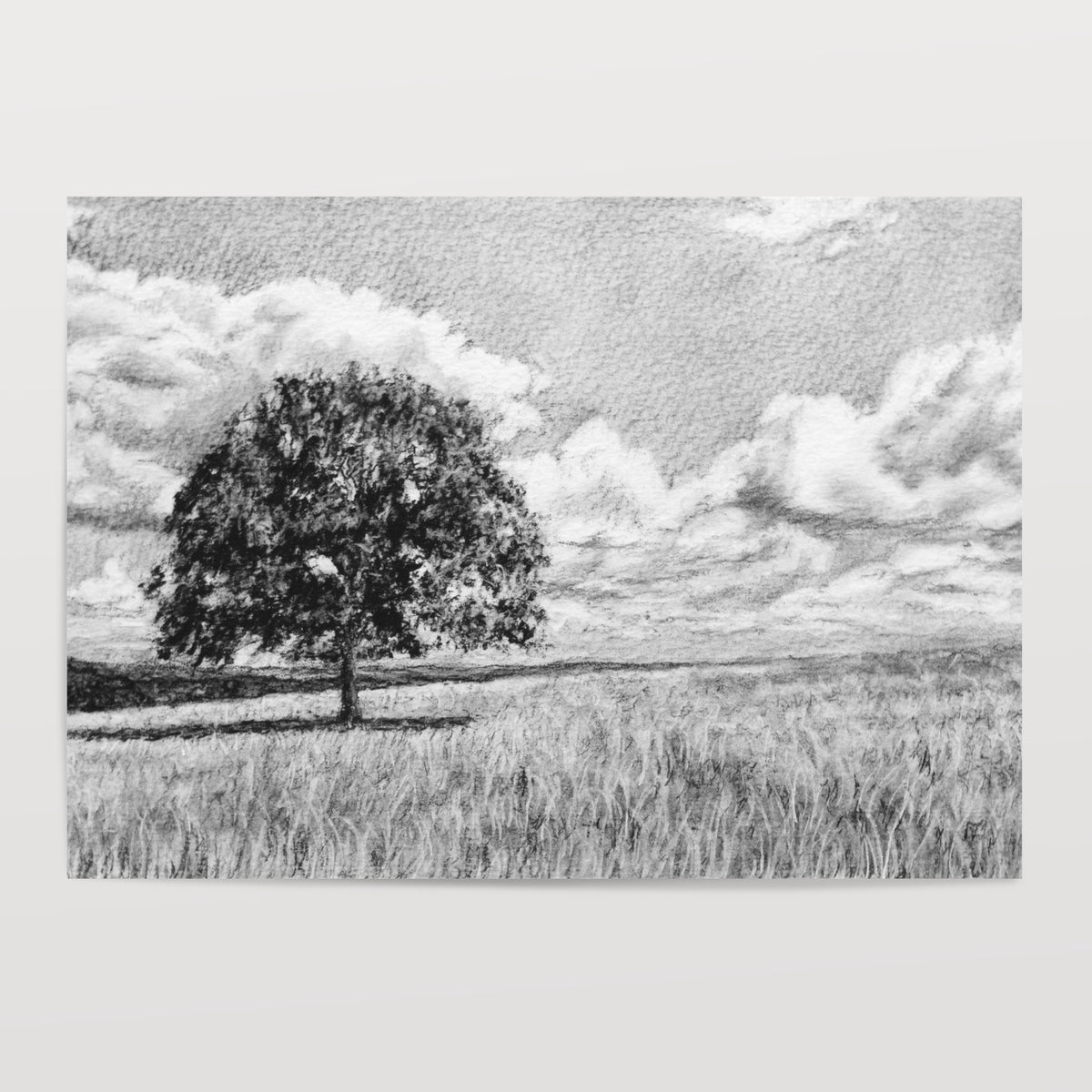 Oak Tree - Print