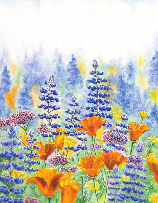 Imagination - Print