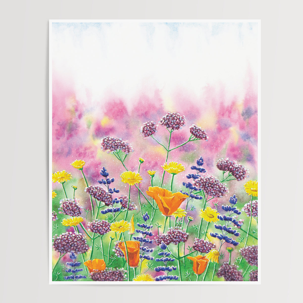 Protection - Print
