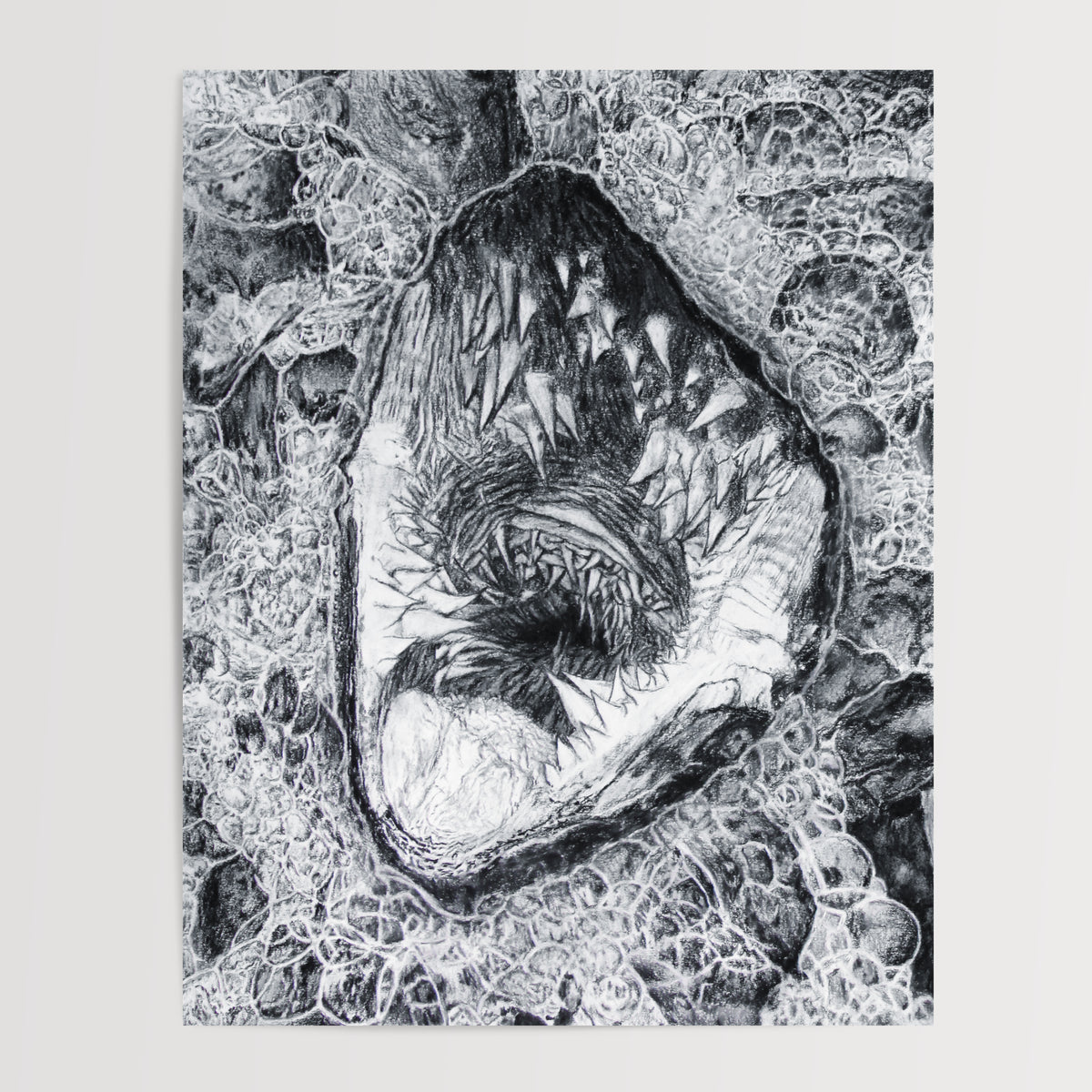 Turtle Bubbles - Print