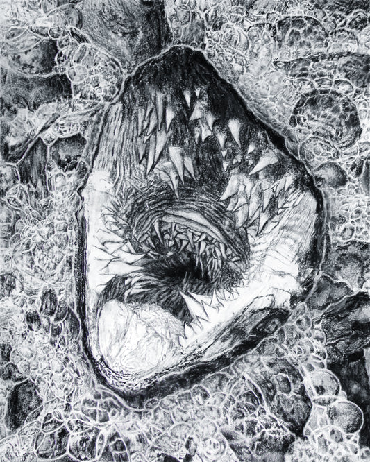 Turtle Bubbles - Print